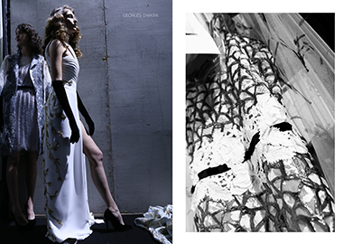 Georges Chakra FB5 380X270